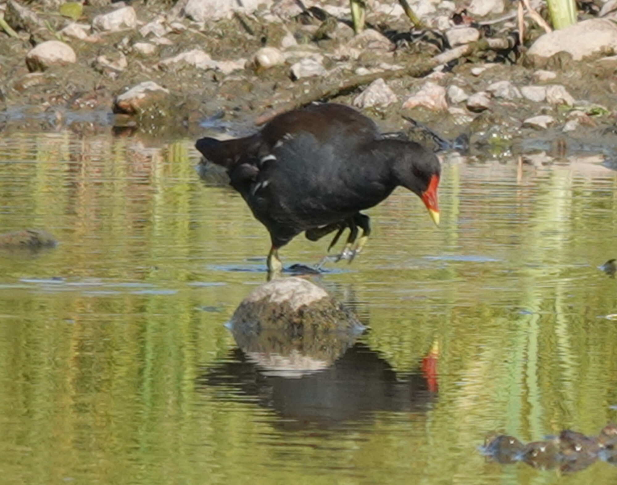 Valokuvaaja: Pekka Heino