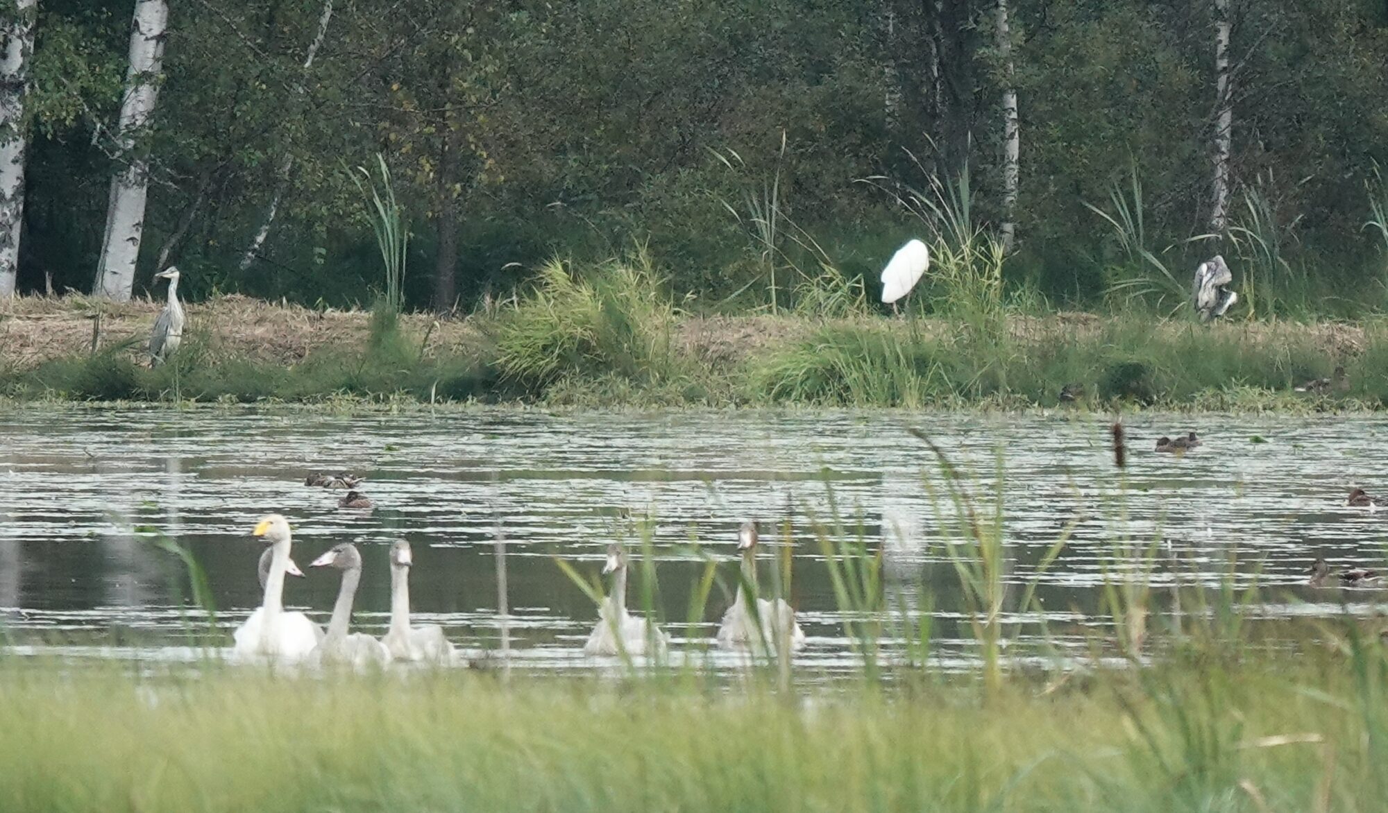 Valokuvaaja: Pekka Heino