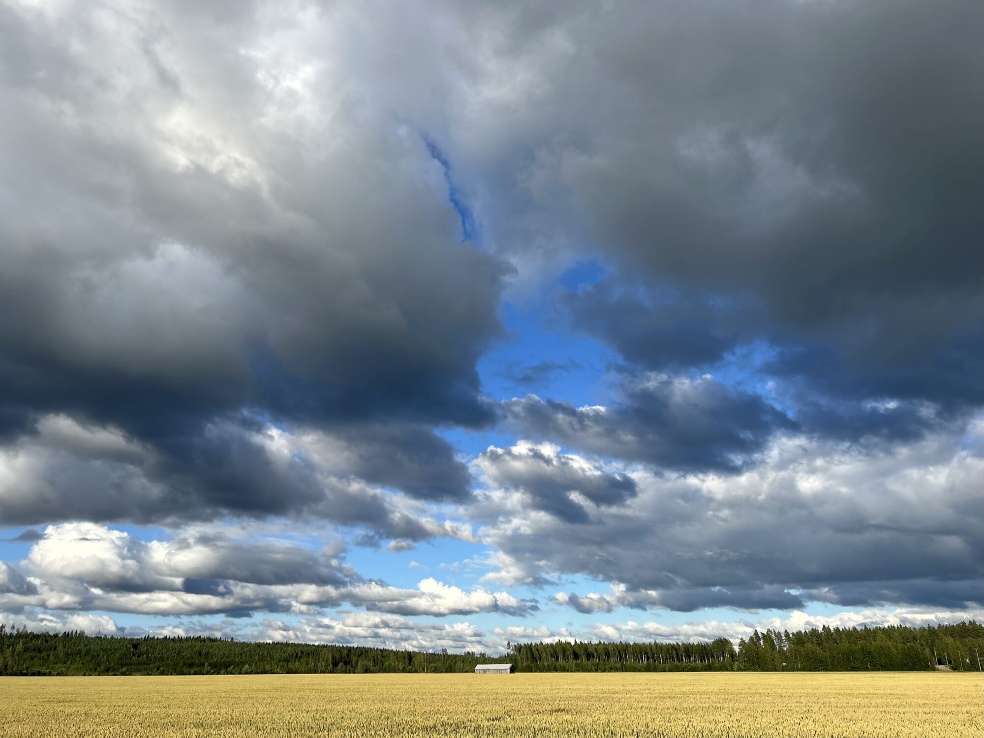 Valokuvaaja: Tapio Keinonen