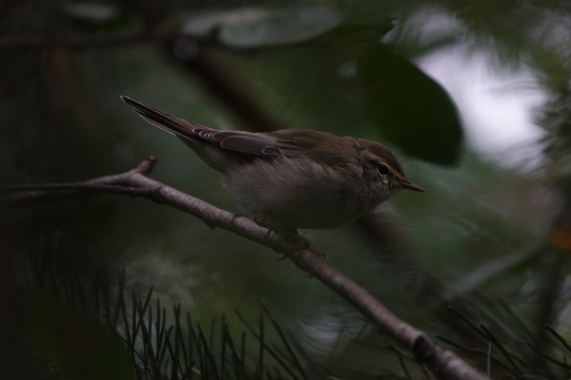 Valokuvaaja: Jenna Pitkänen
