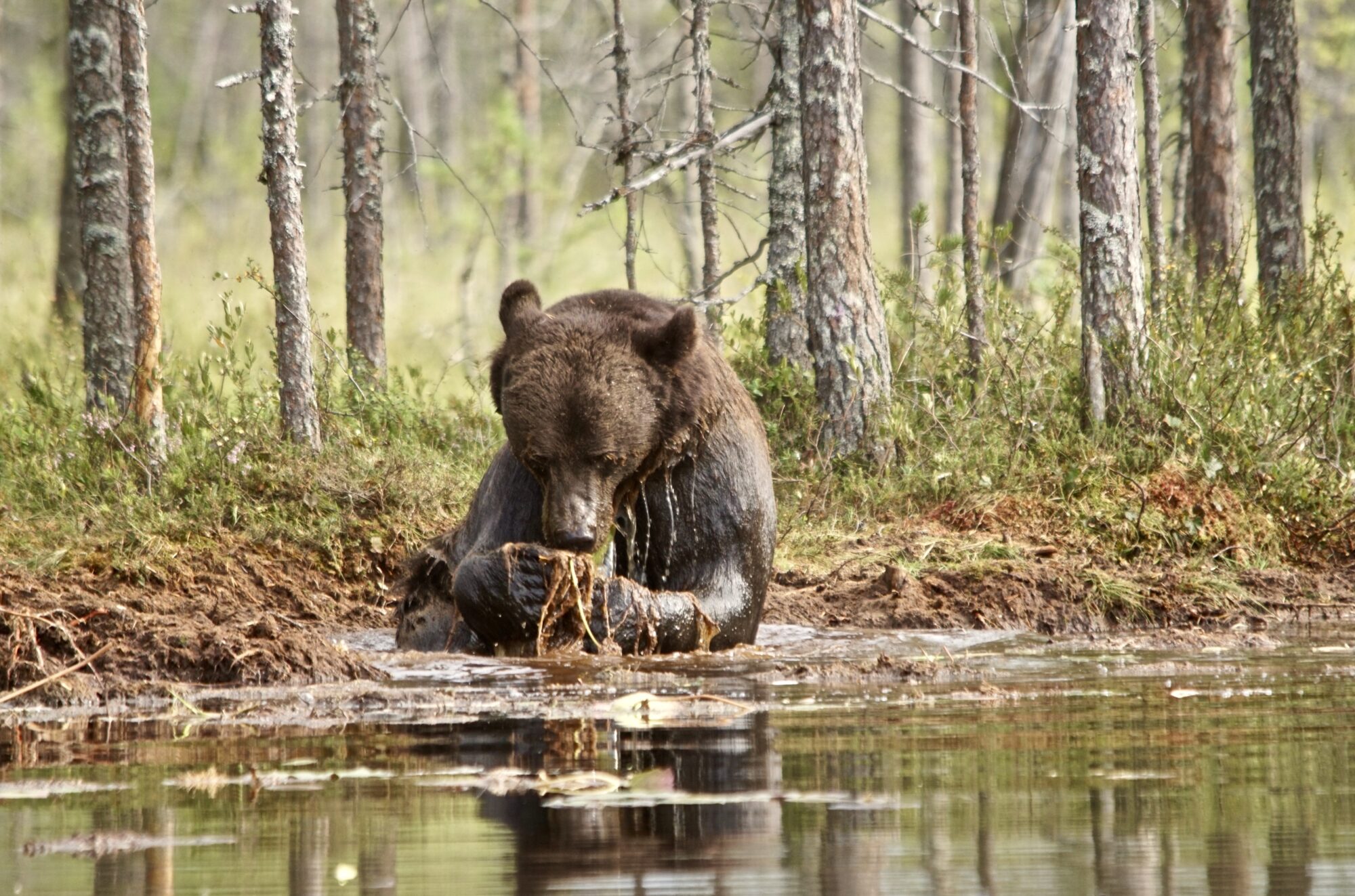 Valokuvaaja: Markku Ranta-Eilola