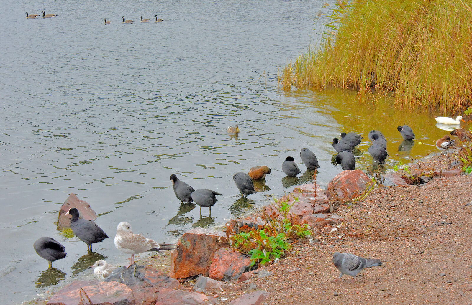 Valokuvaaja: Reijo Juurinen Valokuvaaja: Reijo Juurinen