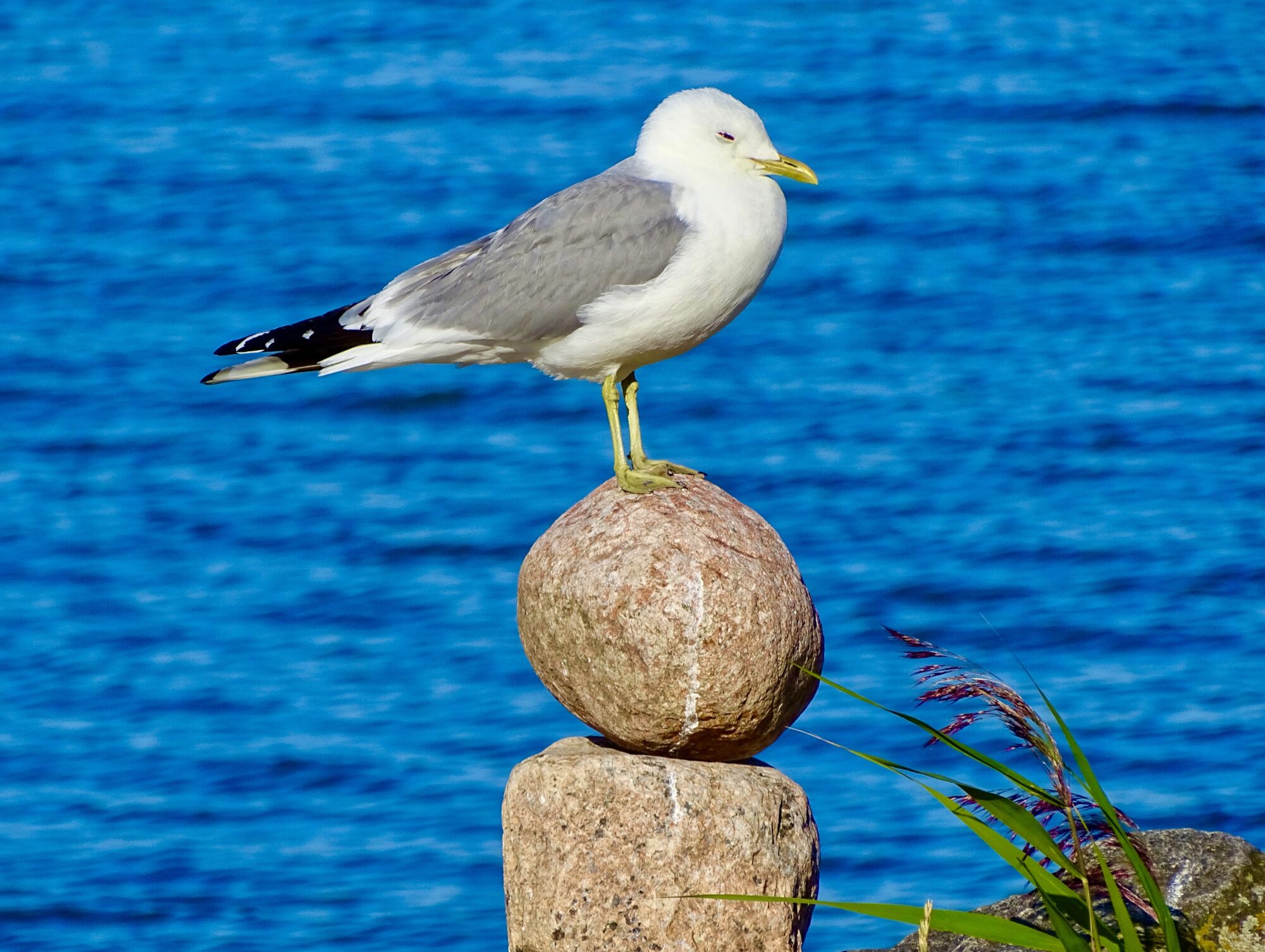 Valokuvaaja: Juhani Peltonen