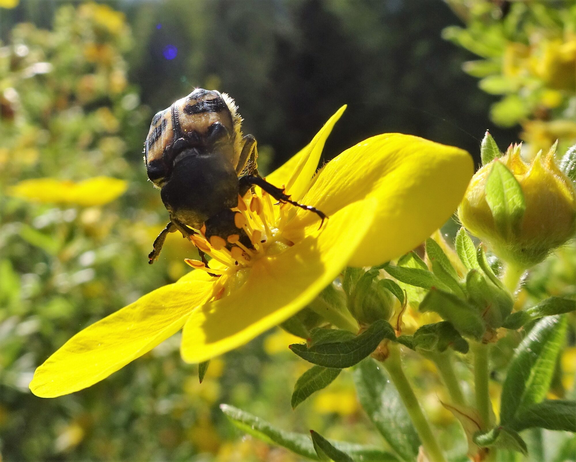 Valokuvaaja: Irja Lehtinen Valokuvaaja: Irja Lehtinen