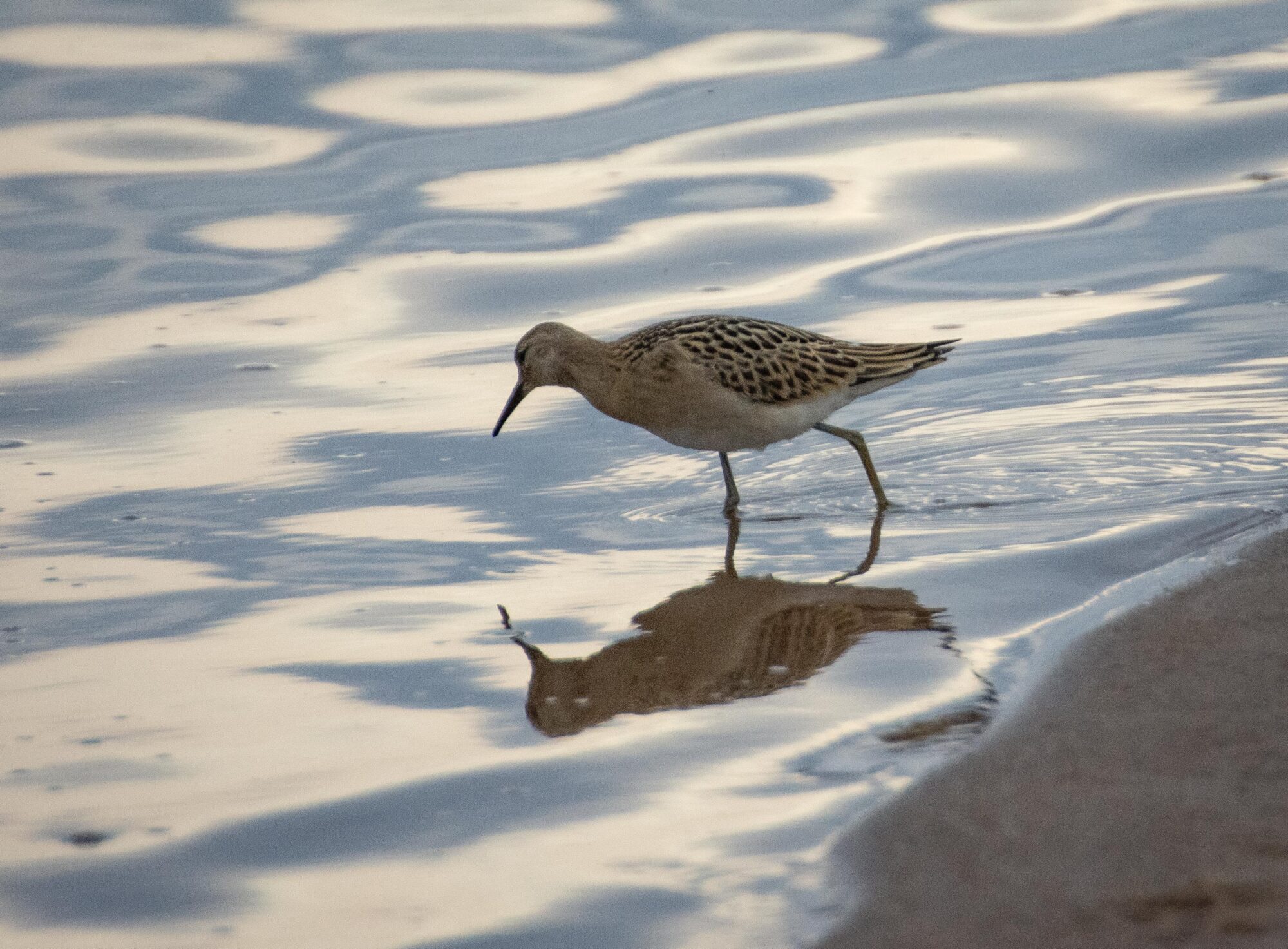 Valokuvaaja: Tuula Komsi