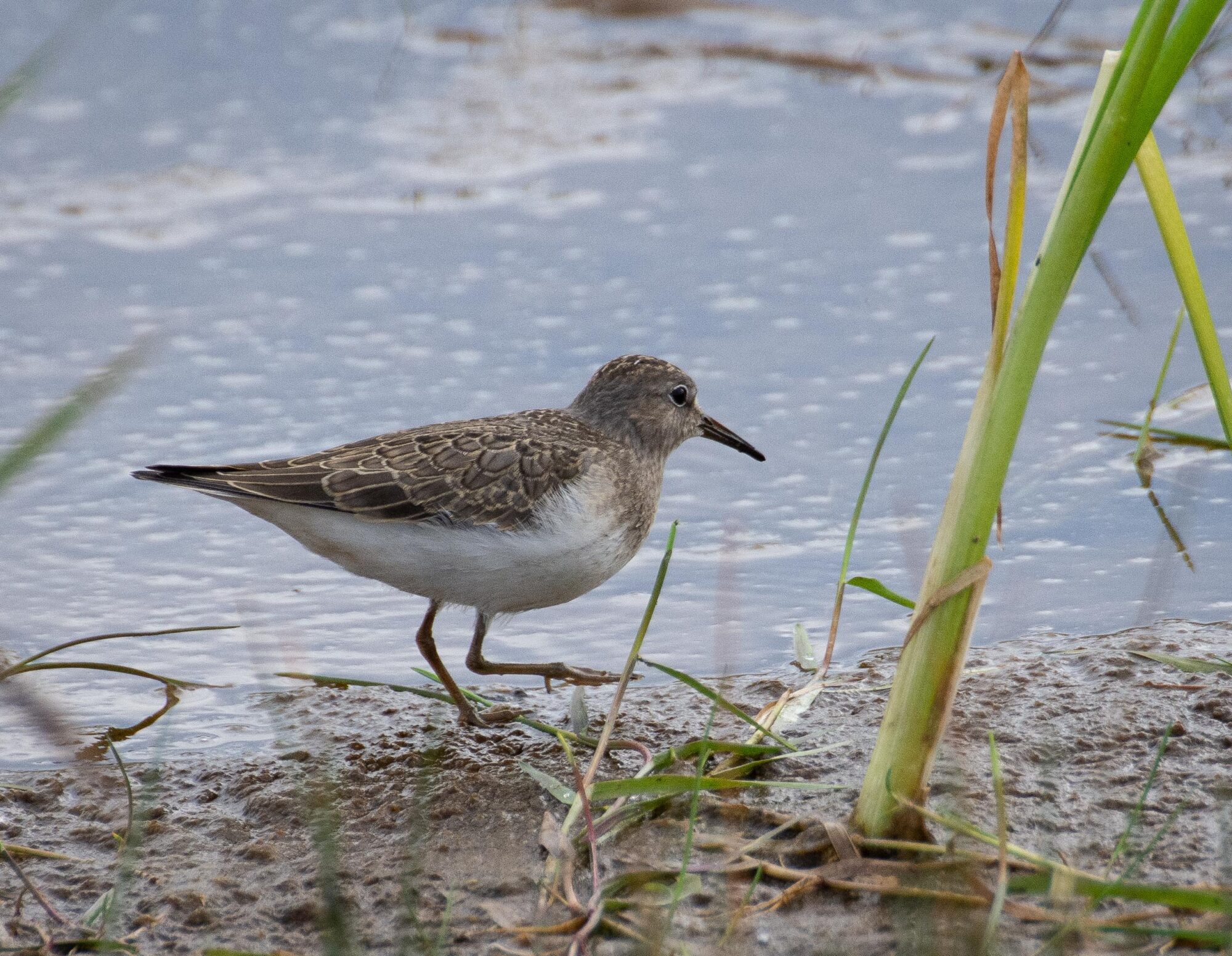 Valokuvaaja: Tuula Komsi Valokuvaaja: Tuula Komsi