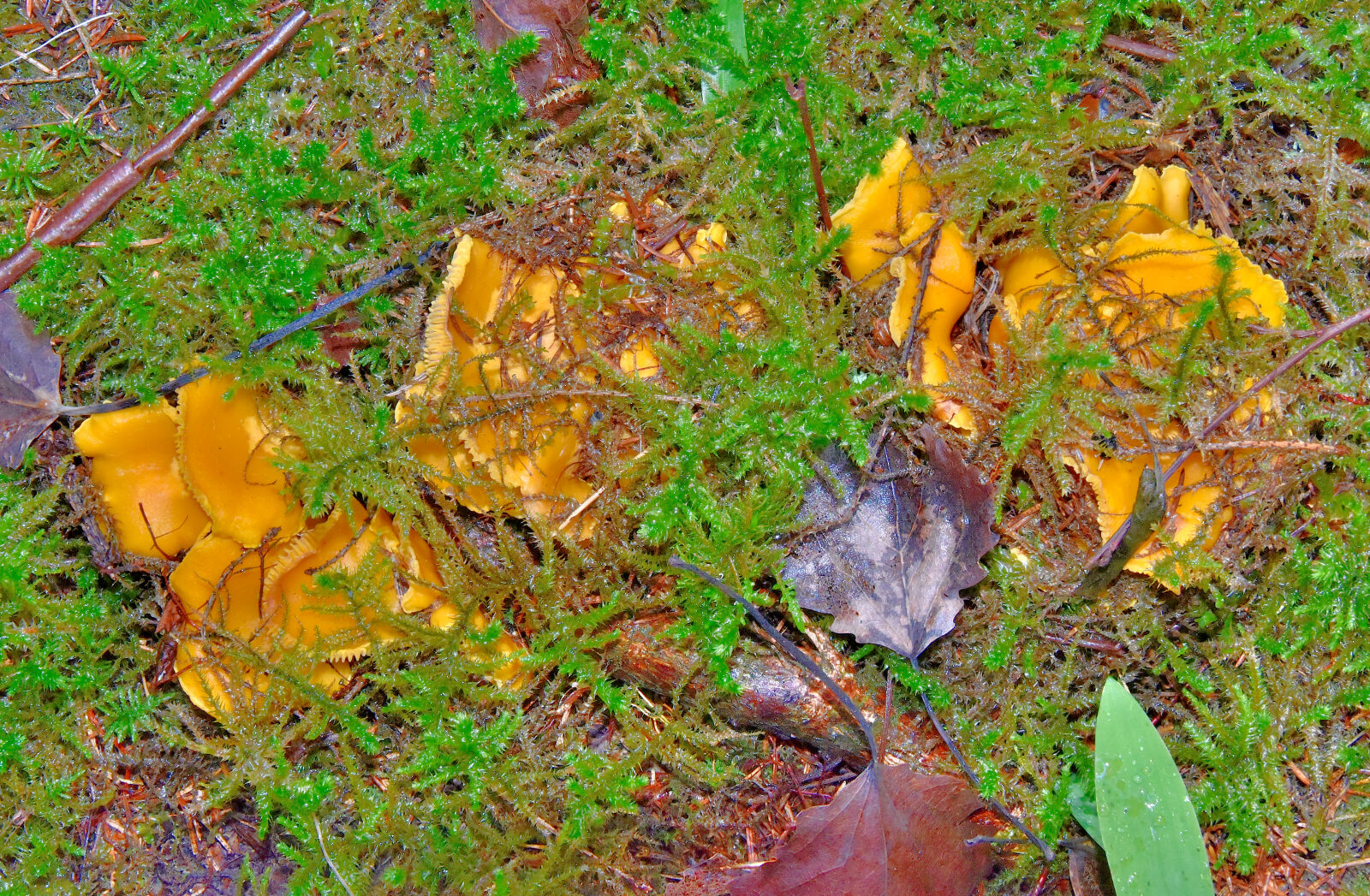 Valokuvaaja: Reijo Juurinen