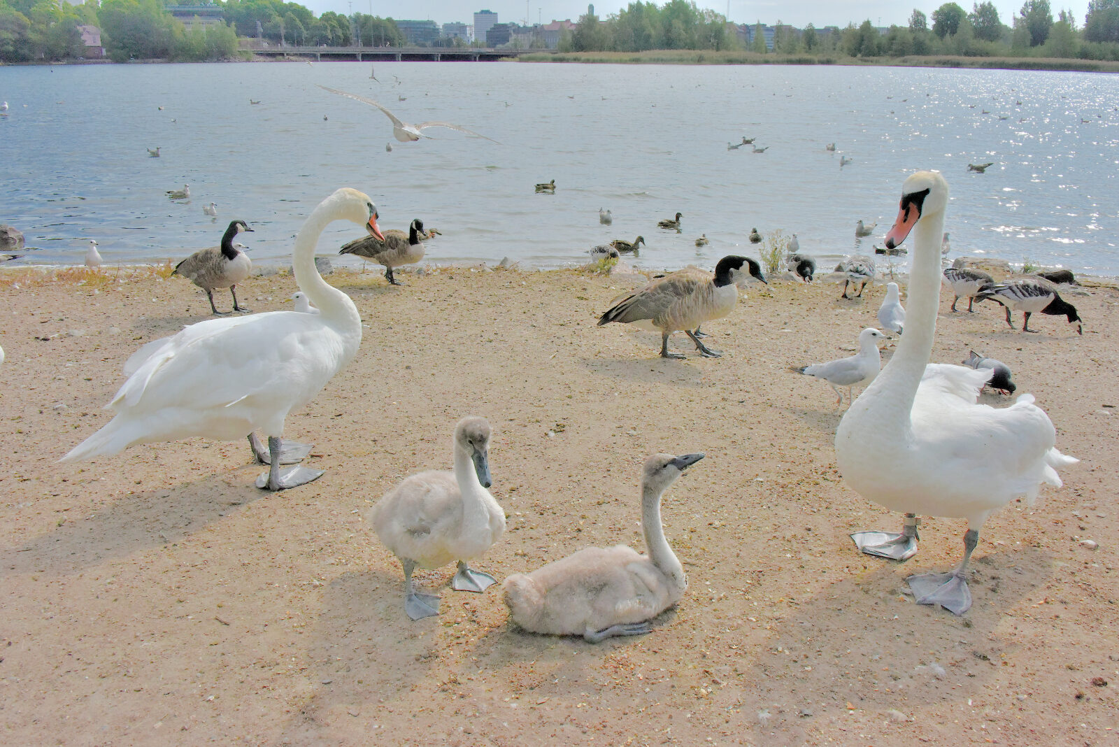 Valokuvaaja: Reijo Juurinen