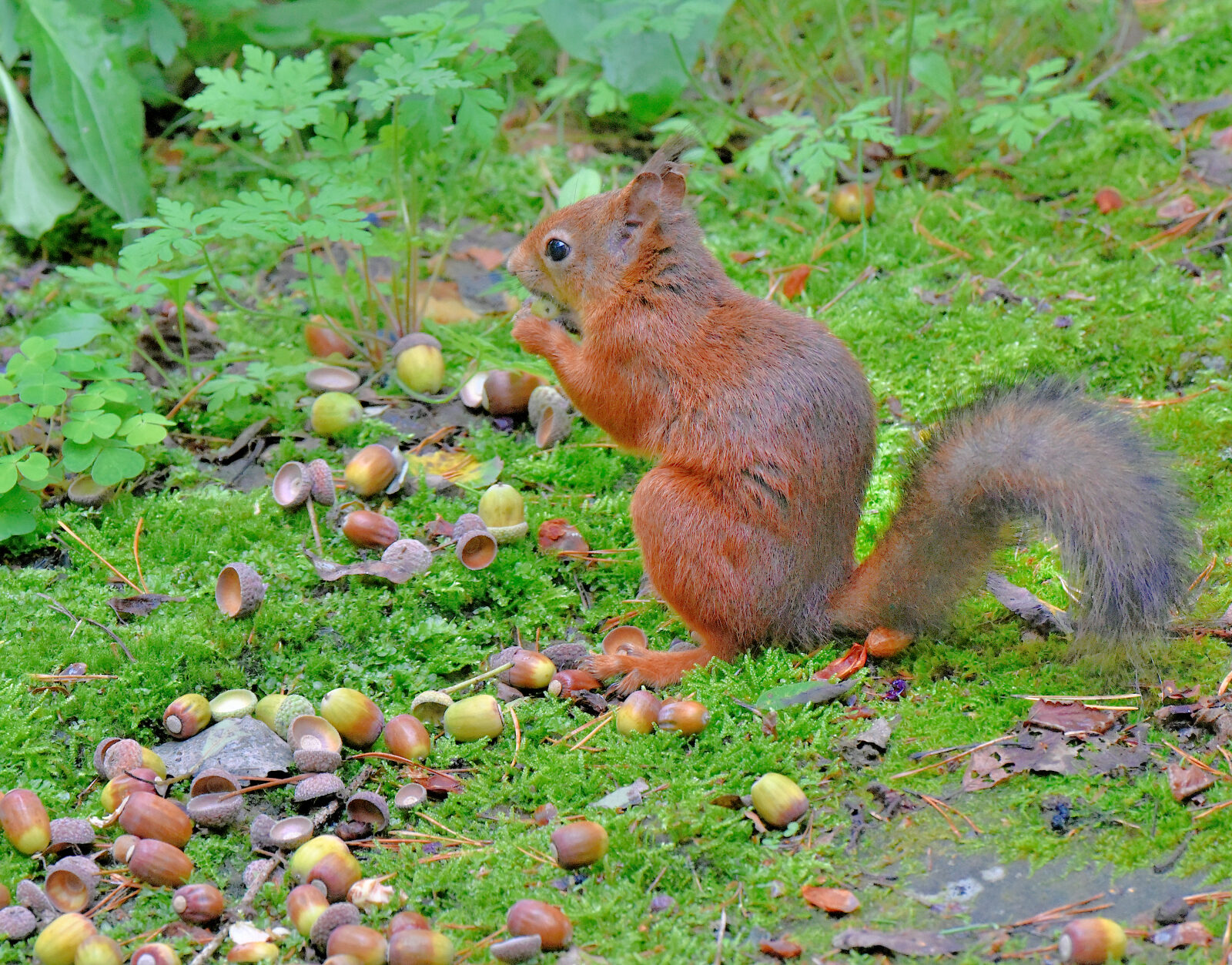 Valokuvaaja: Reijo Juurinen