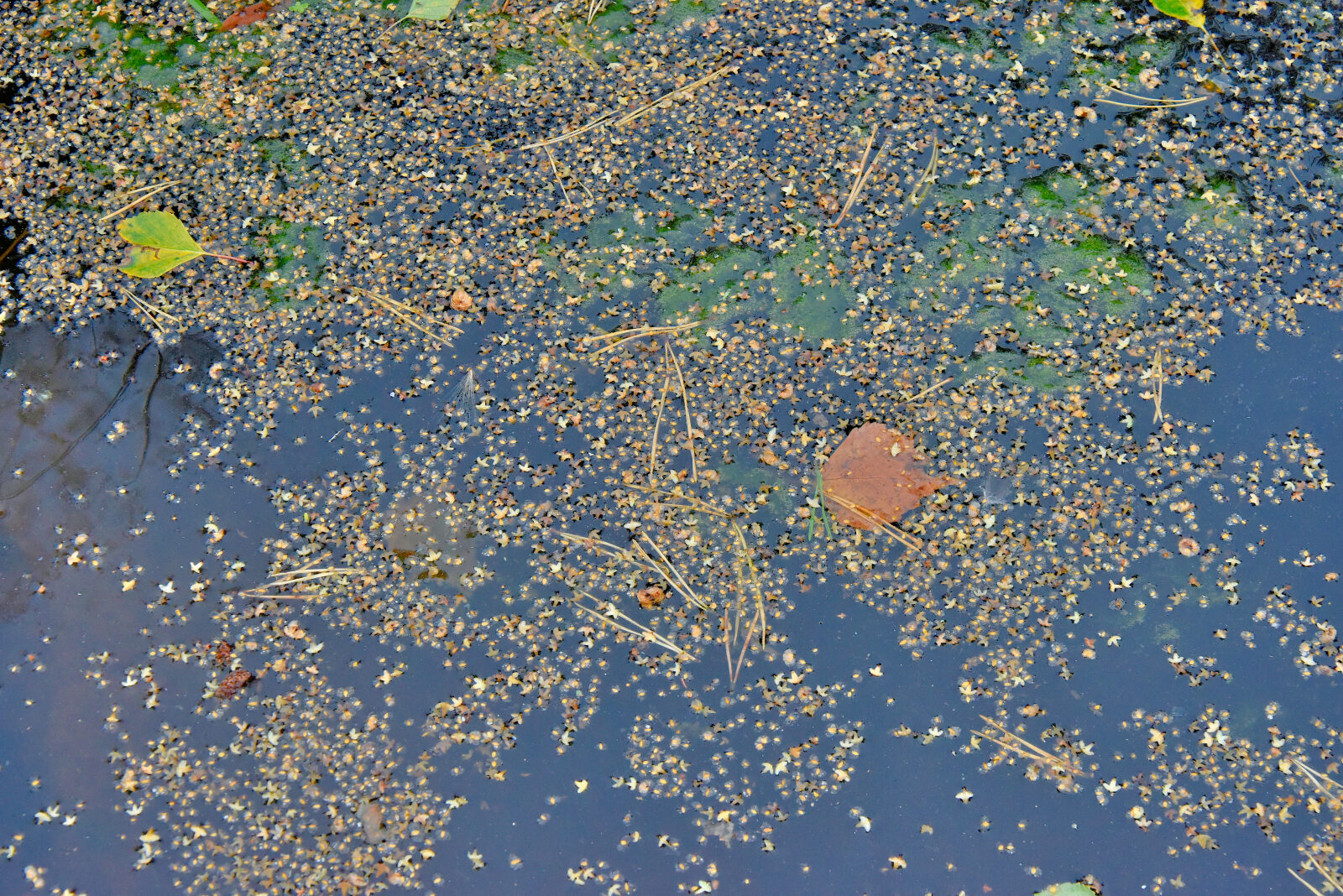 Valokuvaaja: Reijo Juurinen