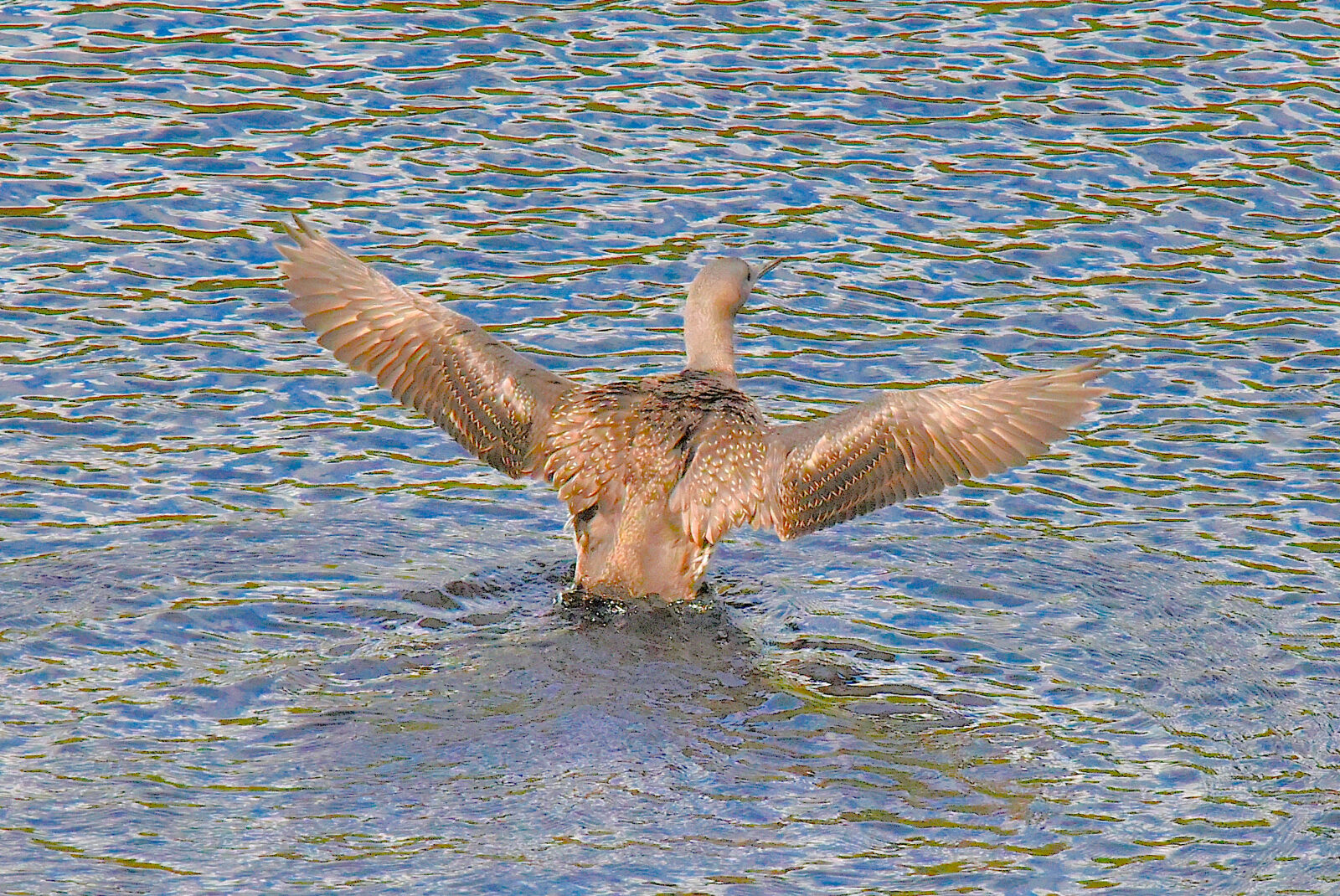 Valokuvaaja: Reijo Juurinen