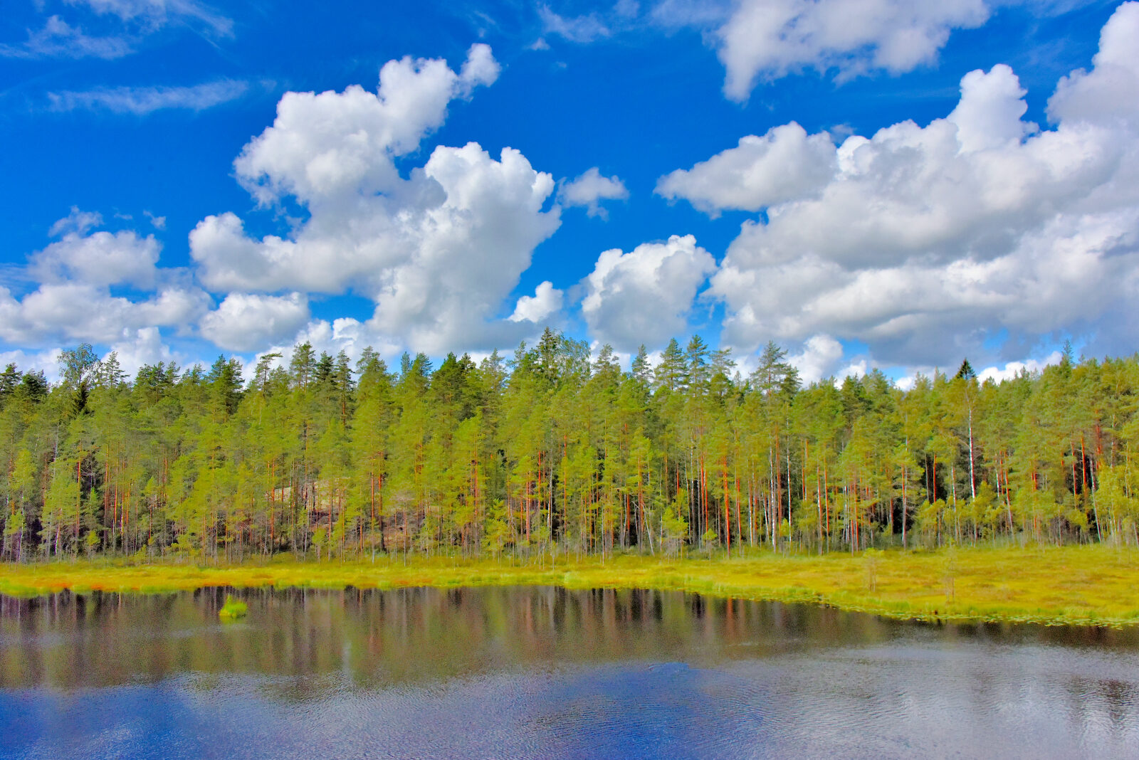 Valokuvaaja: Reijo Juurinen