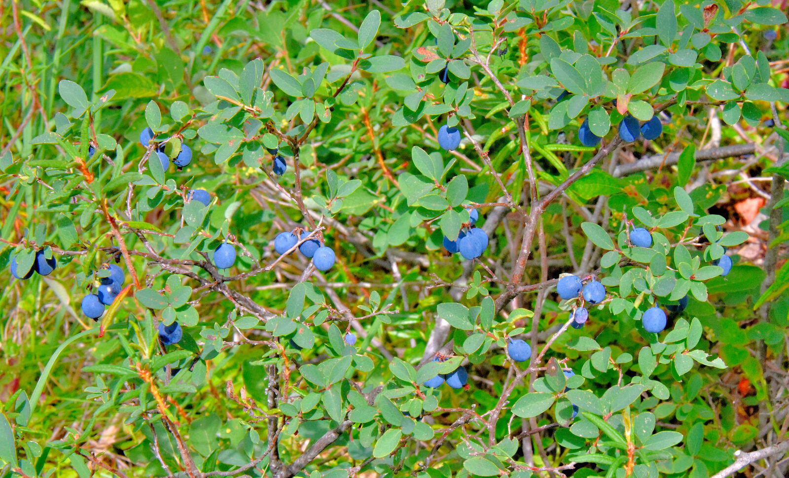 Valokuvaaja: Reijo Juurinen
