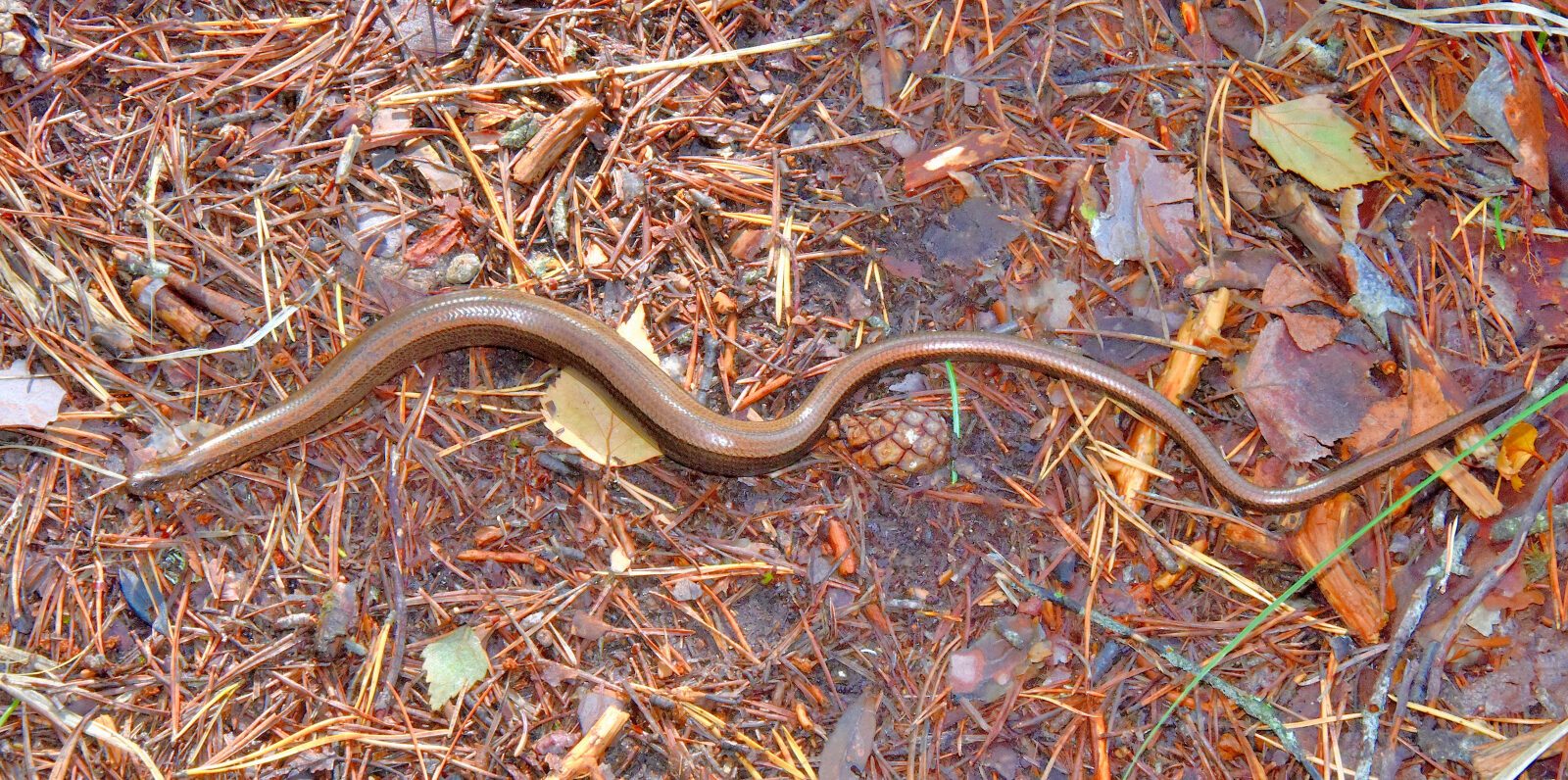 Valokuvaaja: Reijo Juurinen