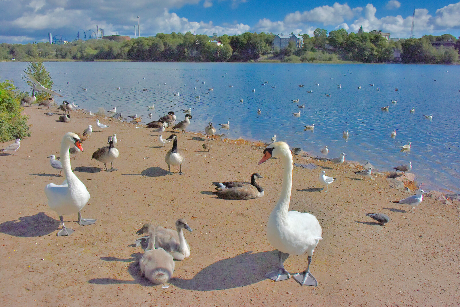 Valokuvaaja: Reijo Juurinen