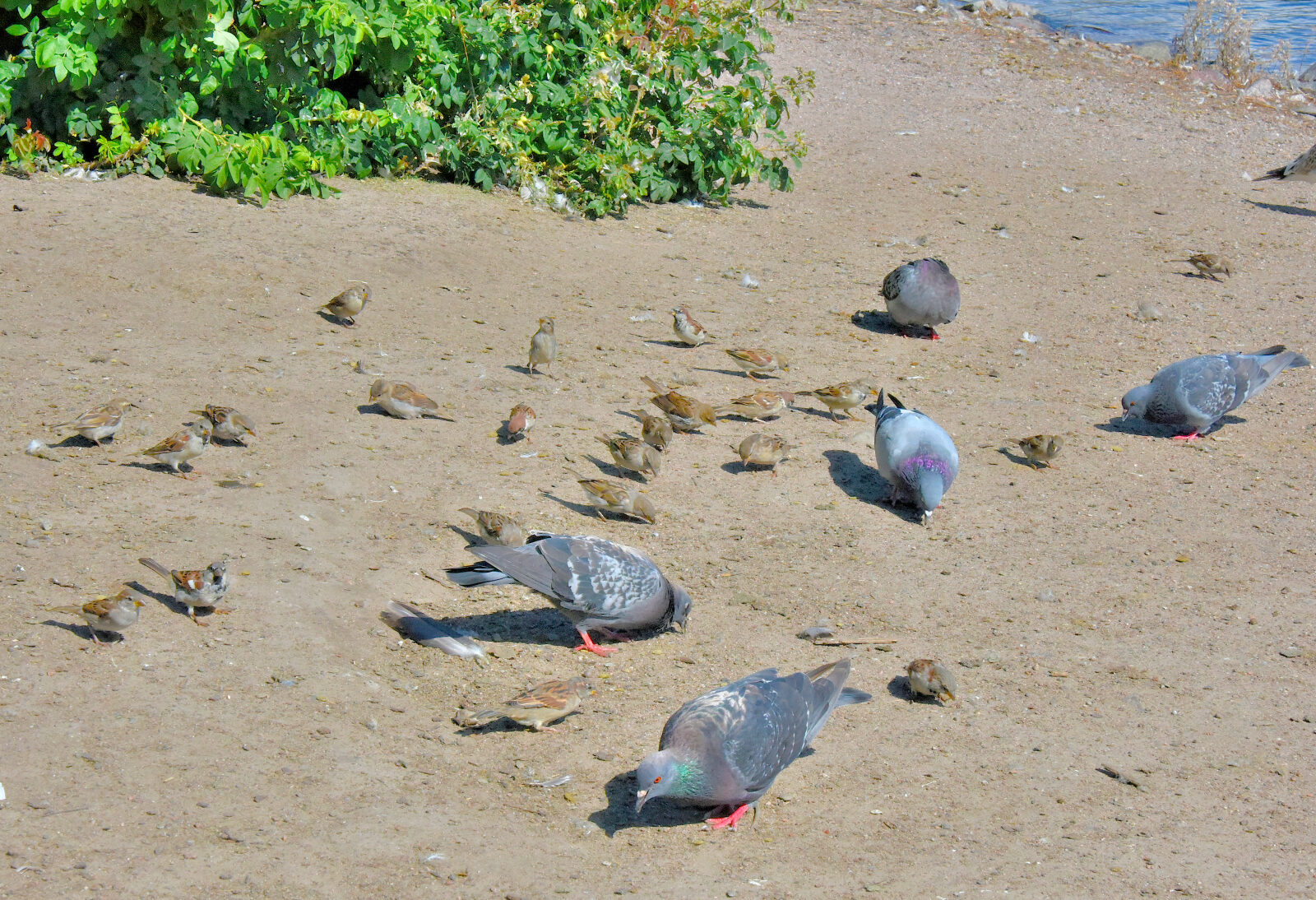 Valokuvaaja: Reijo Juurinen Valokuvaaja: Reijo Juurinen
