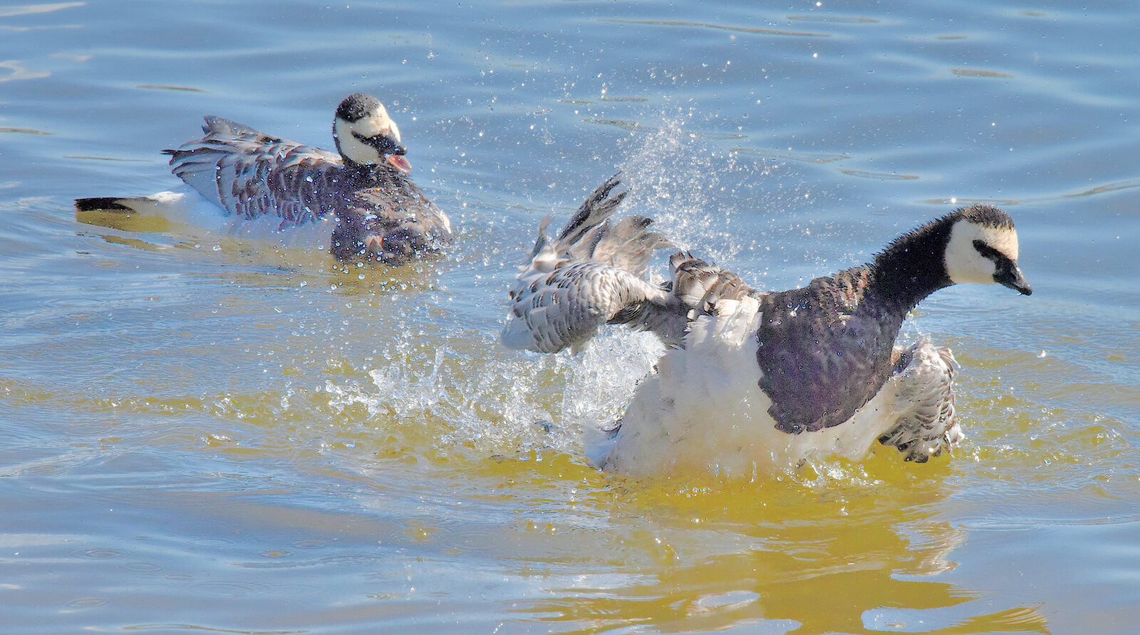 Valokuvaaja: Reijo Juurinen