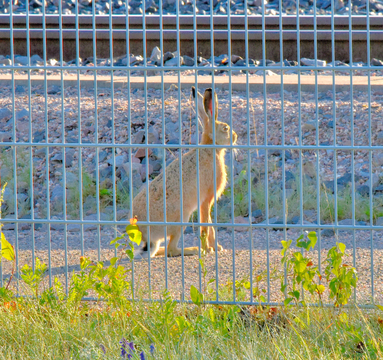 Valokuvaaja: Reijo Juurinen