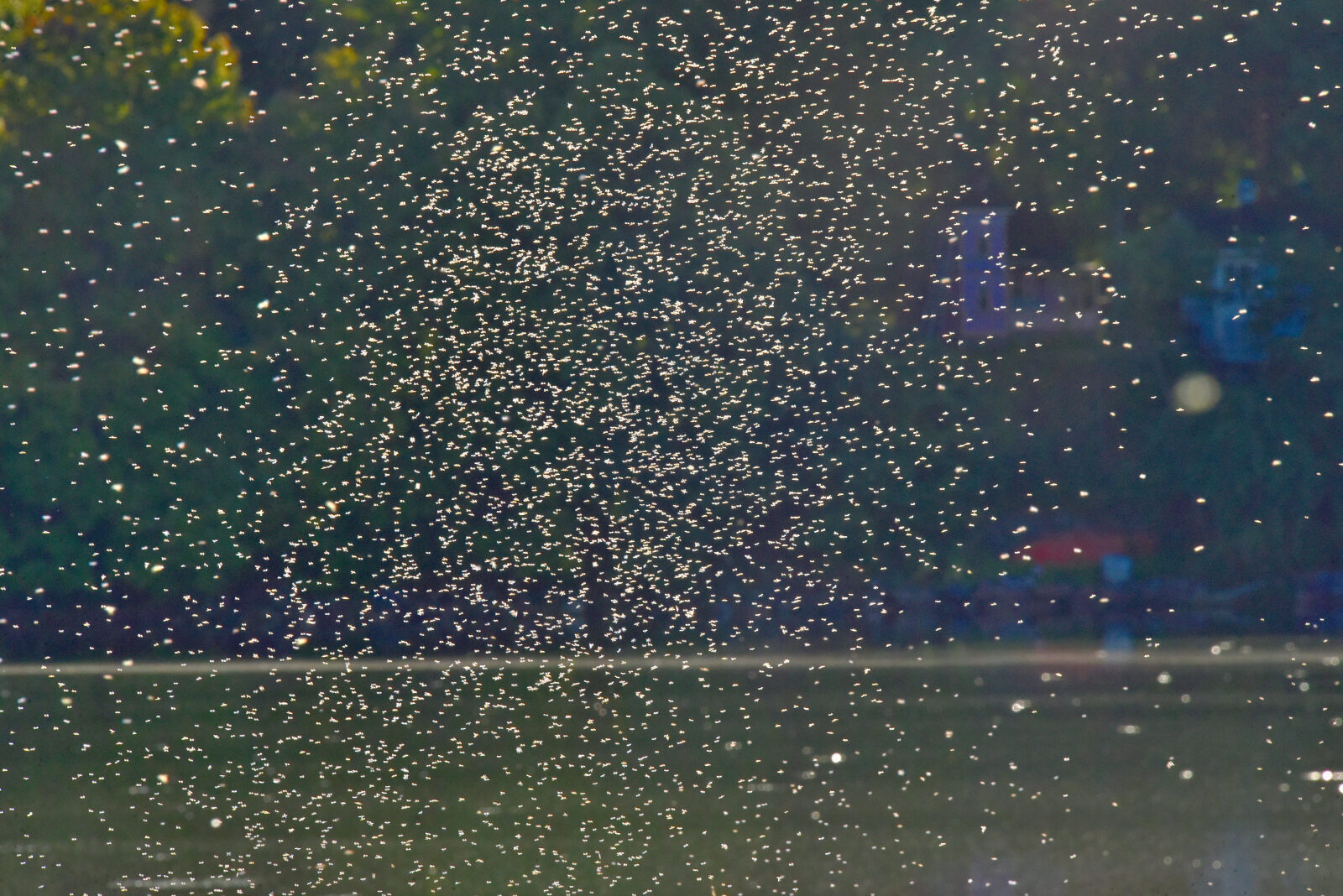 Valokuvaaja: Reijo Juurinen