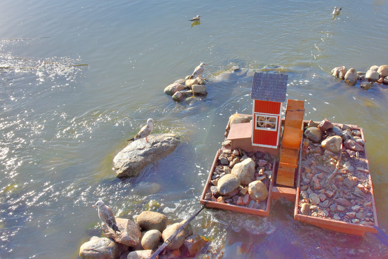 Valokuvaaja: Reijo Juurinen