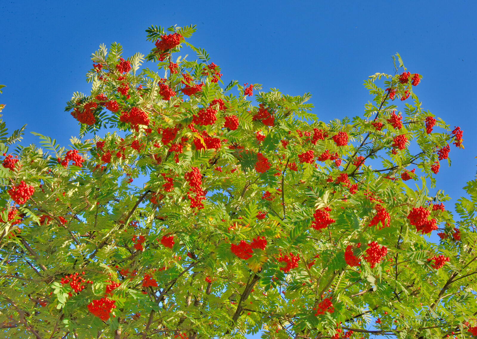 Valokuvaaja: Reijo Juurinen
