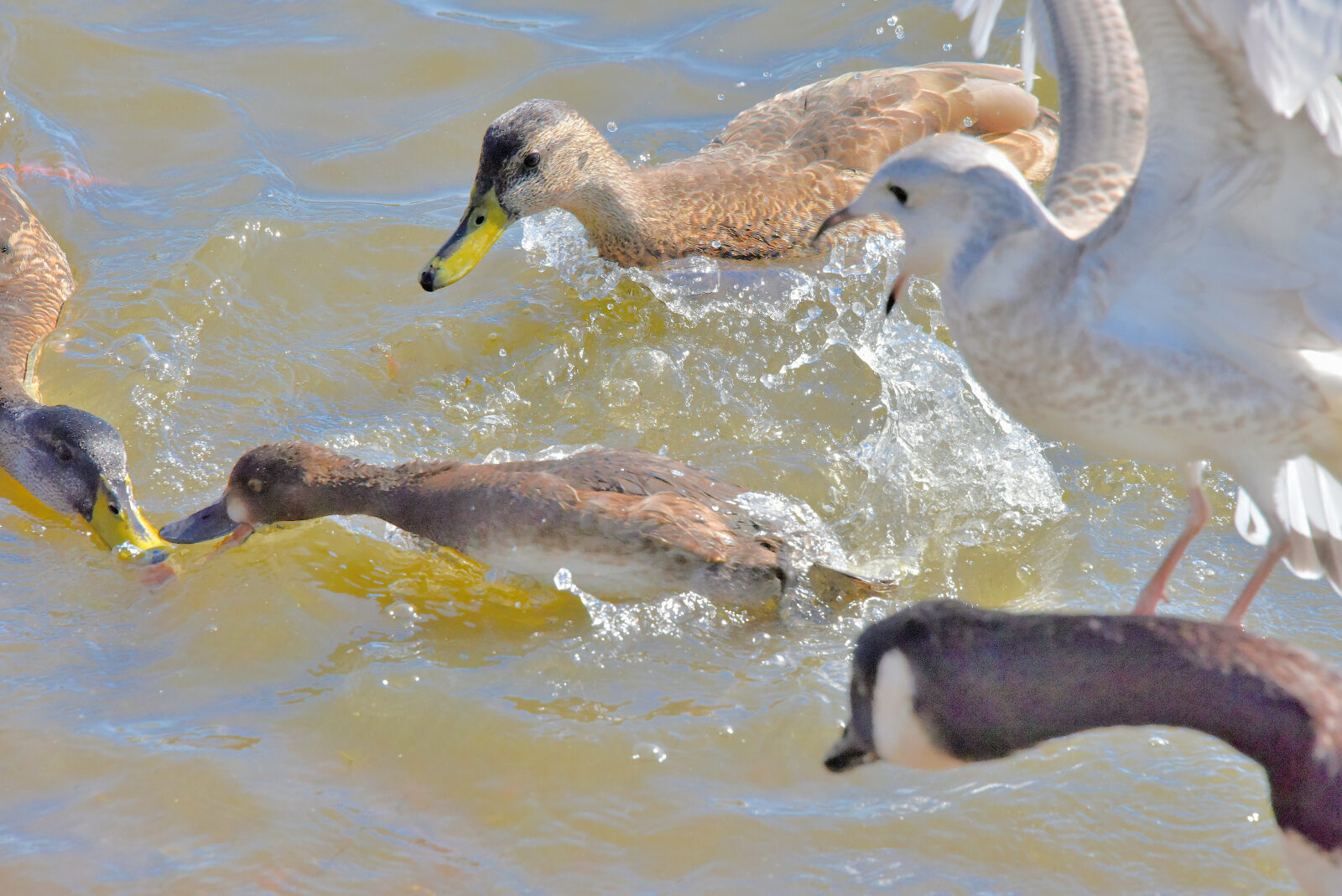 Valokuvaaja: Reijo Juurinen
