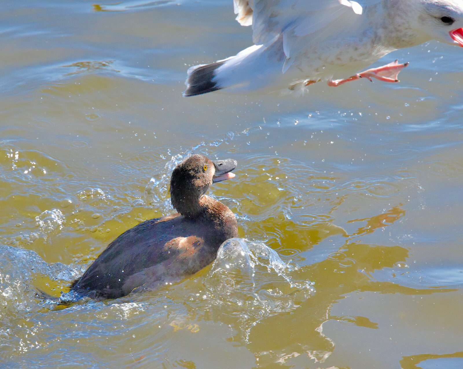 Valokuvaaja: Reijo Juurinen