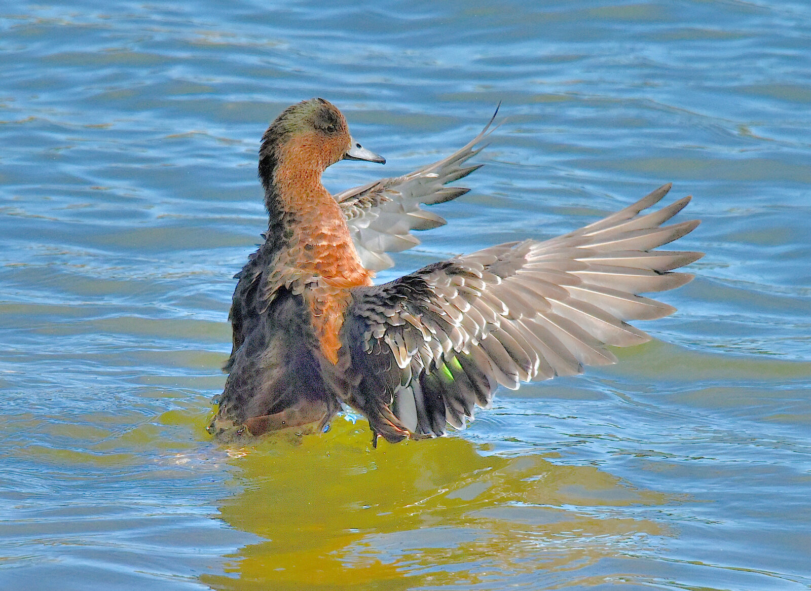 Valokuvaaja: Reijo Juurinen