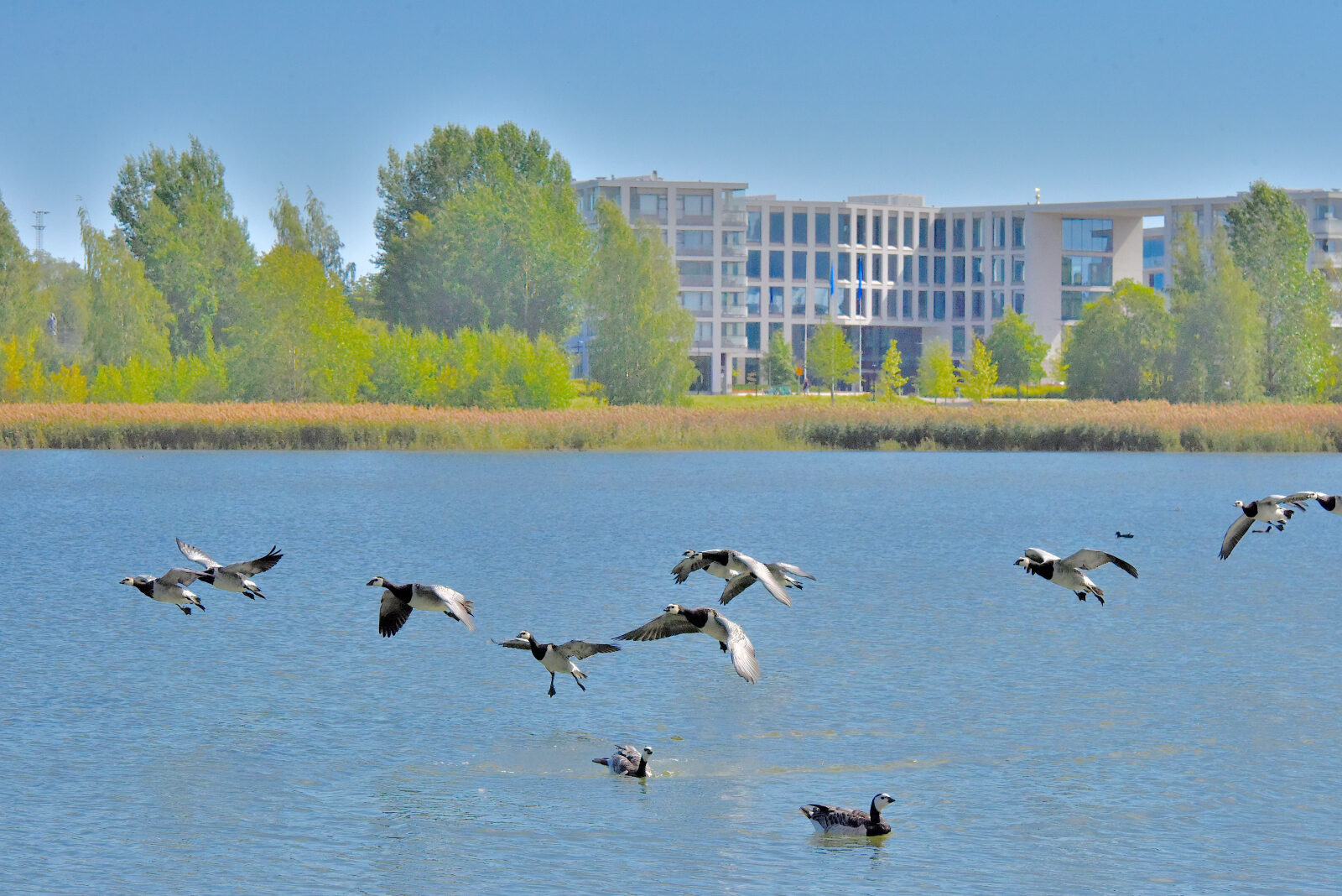 Valokuvaaja: Reijo Juurinen