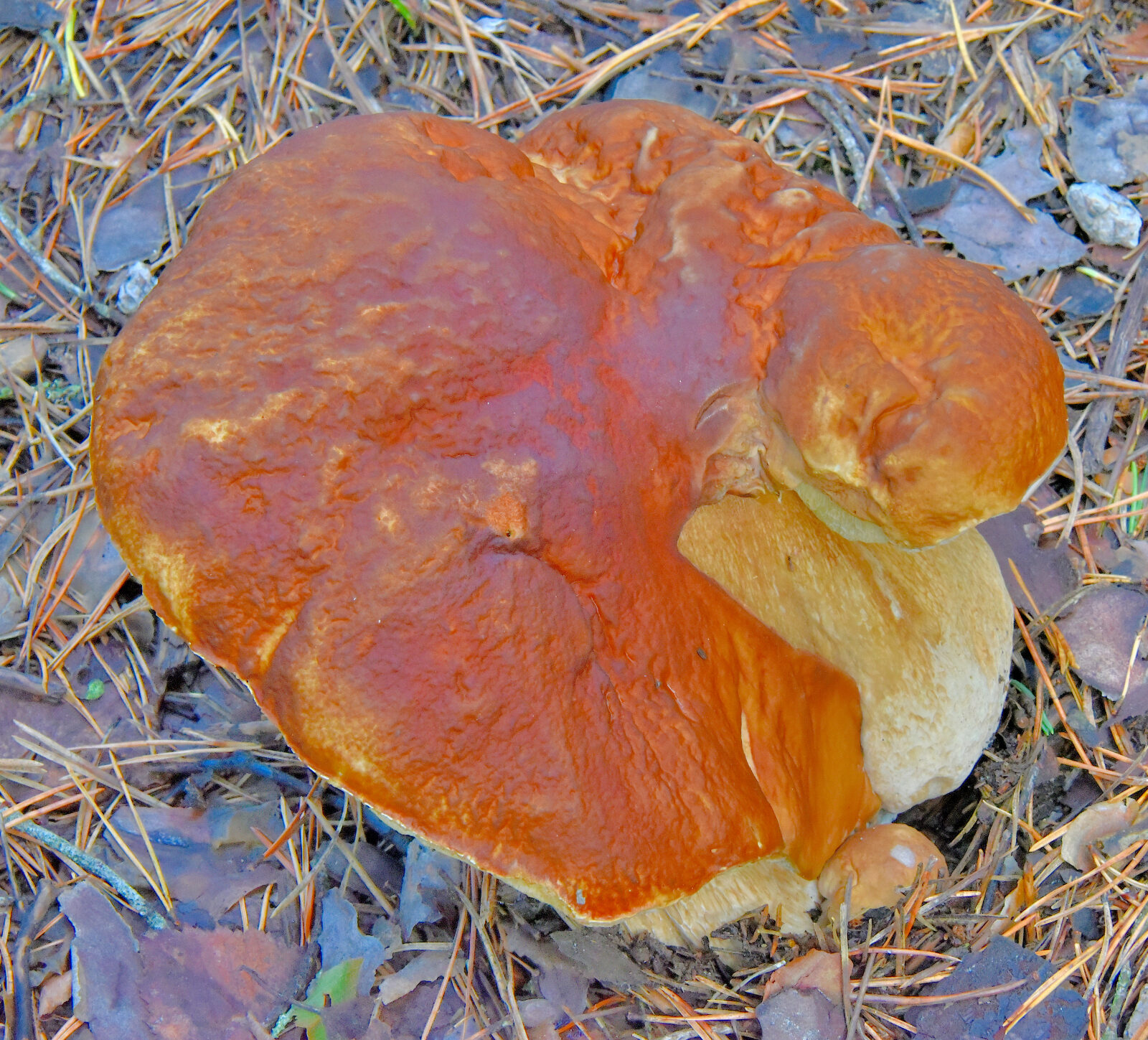 Valokuvaaja: Reijo Juurinen