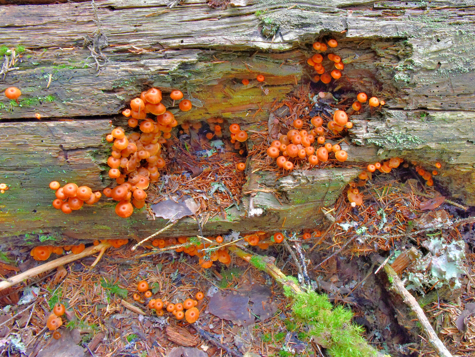 Valokuvaaja: Reijo Juurinen