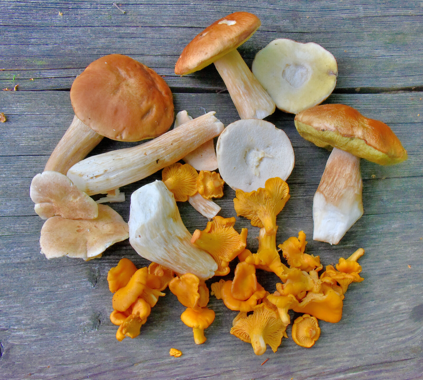 Valokuvaaja: Reijo Juurinen Valokuvaaja: Reijo Juurinen