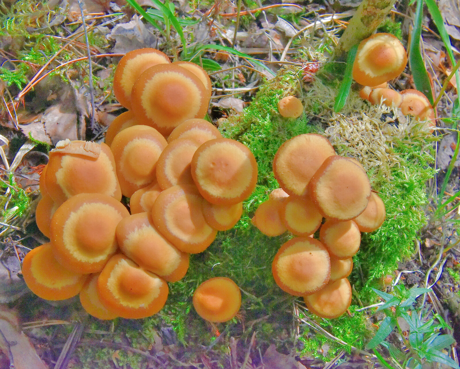 Valokuvaaja: Reijo Juurinen