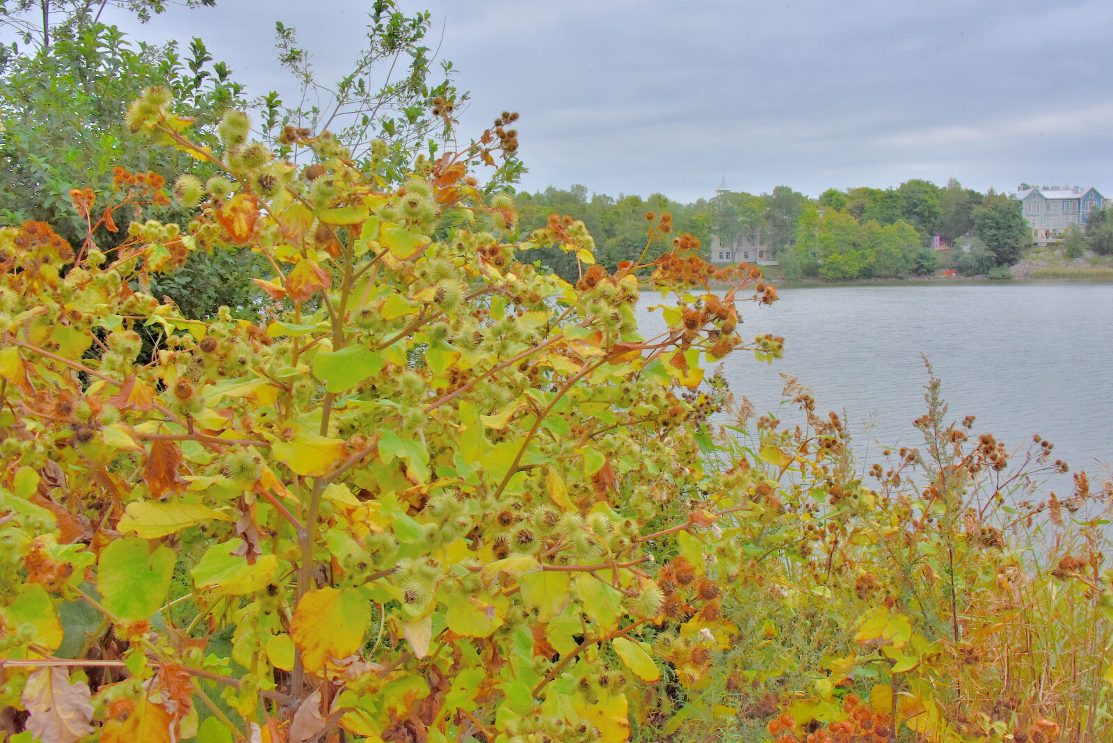 Valokuvaaja: Reijo Juurinen