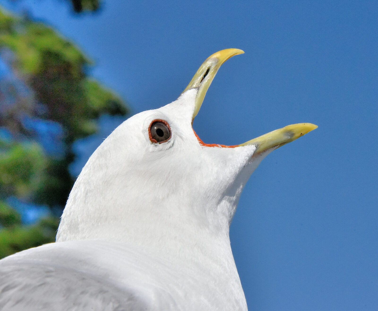 Valokuvaaja: Reijo Juurinen