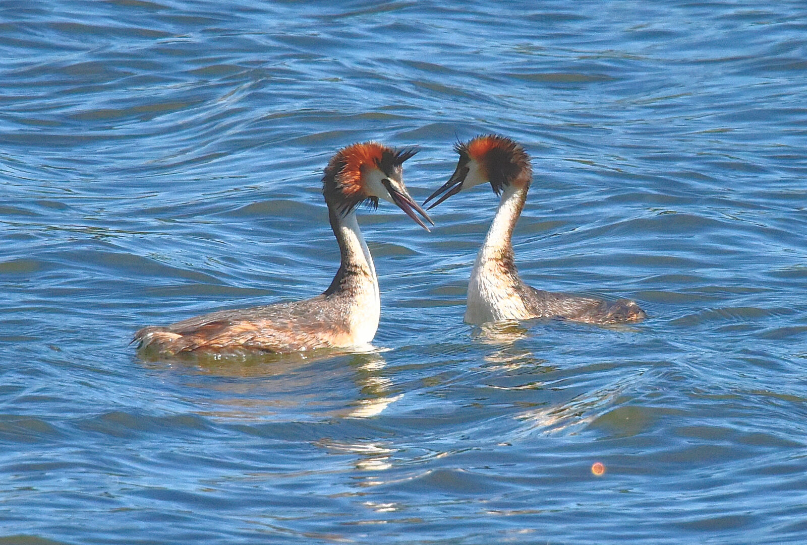 Valokuvaaja: Reijo Juurinen