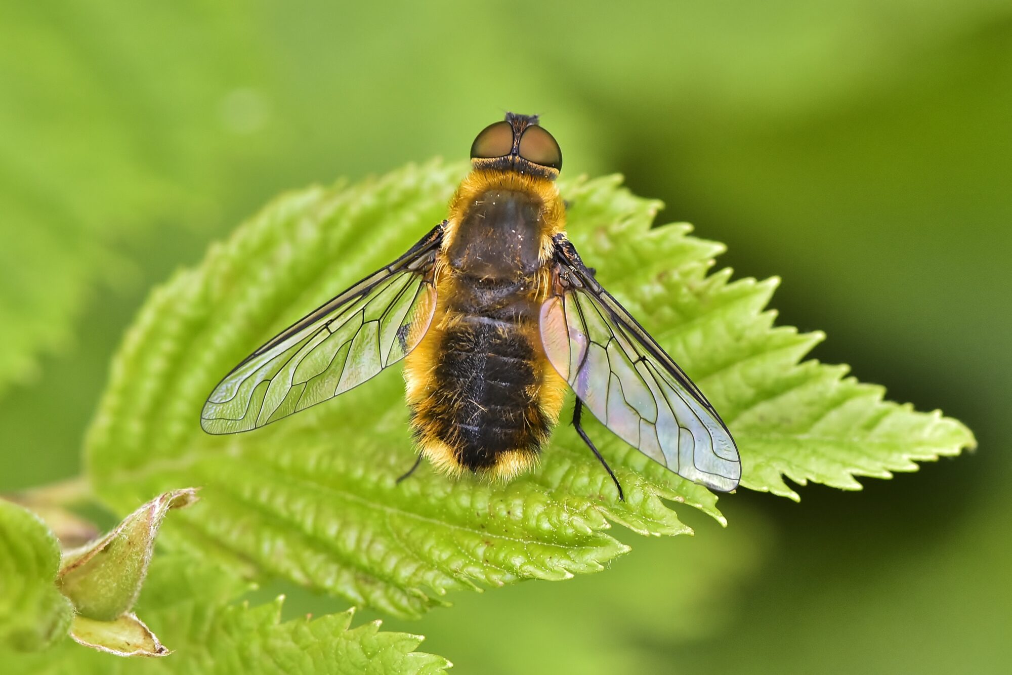 Valokuvaaja: Markku Pelkonen