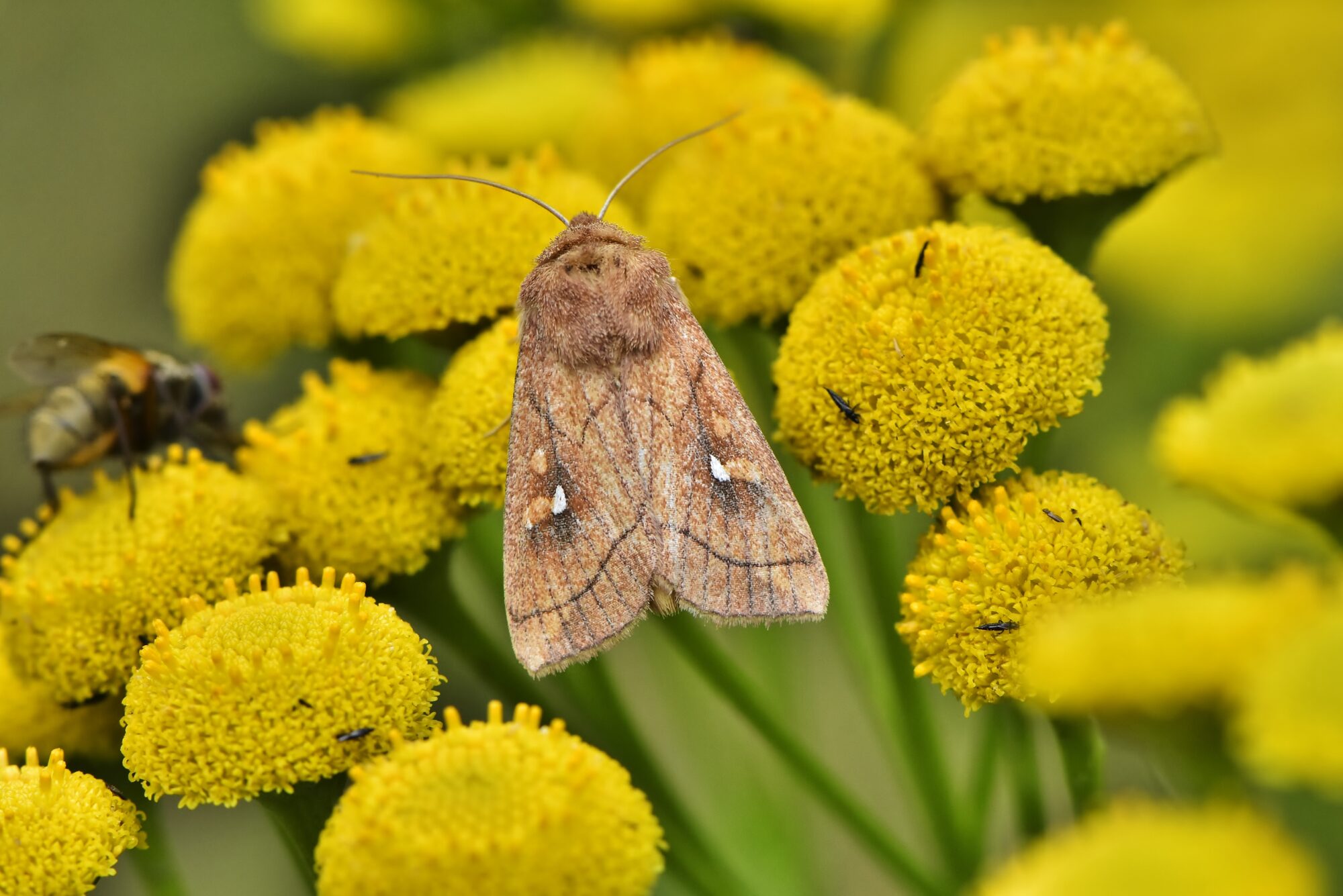 Valokuvaaja: Markku Pelkonen