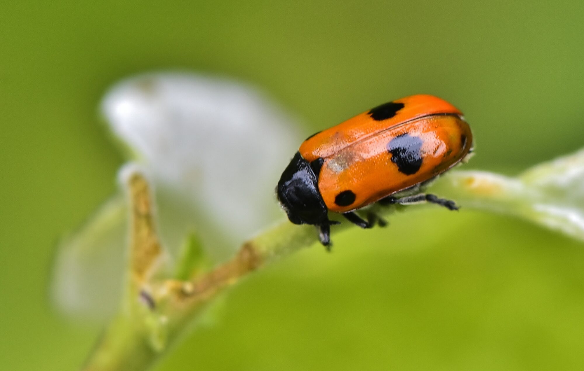 Valokuvaaja: Markku Pelkonen