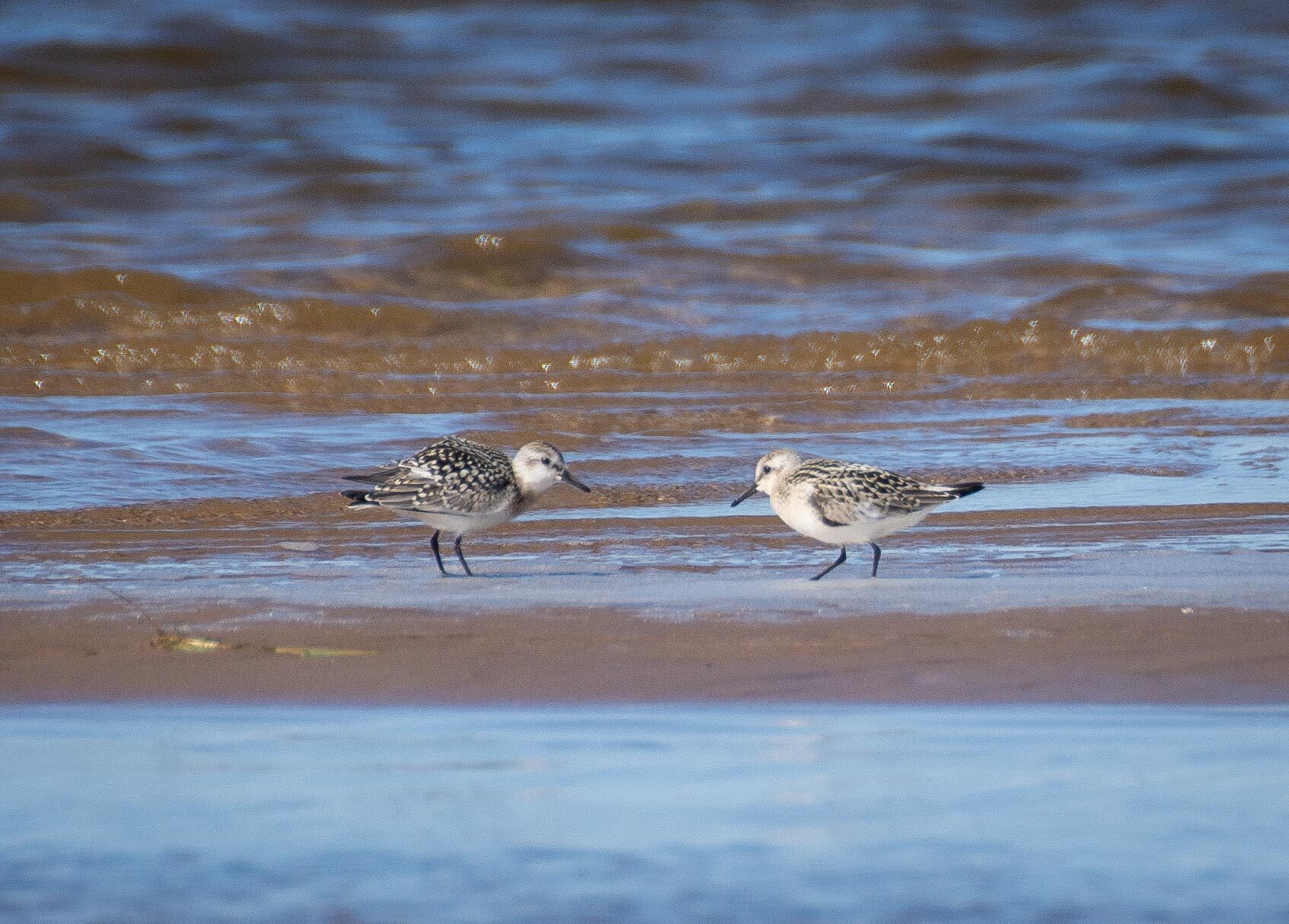 Valokuvaaja: Tuula Komsi
