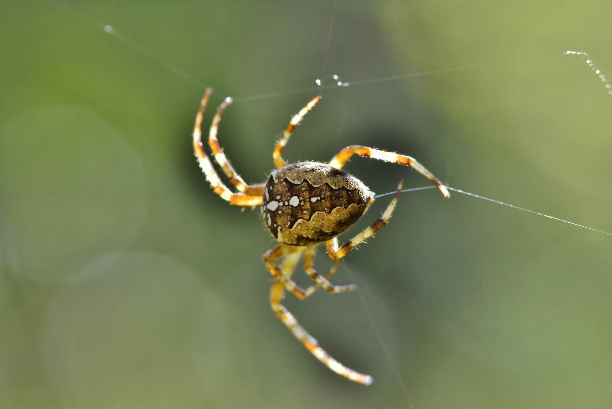 Valokuvaaja: Markku Pelkonen