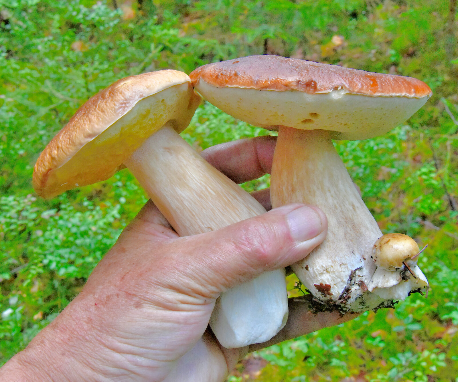 Valokuvaaja: Reijo Juurinen