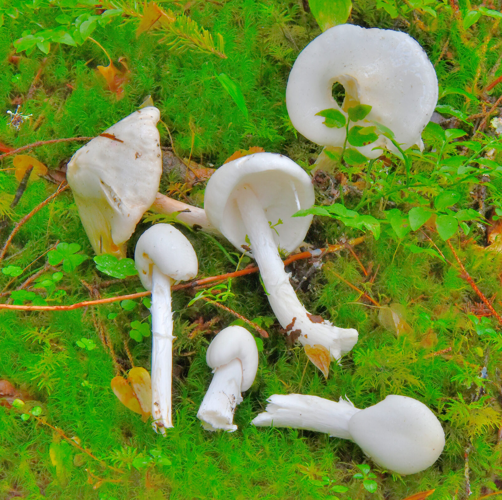 Valokuvaaja: Reijo Juurinen