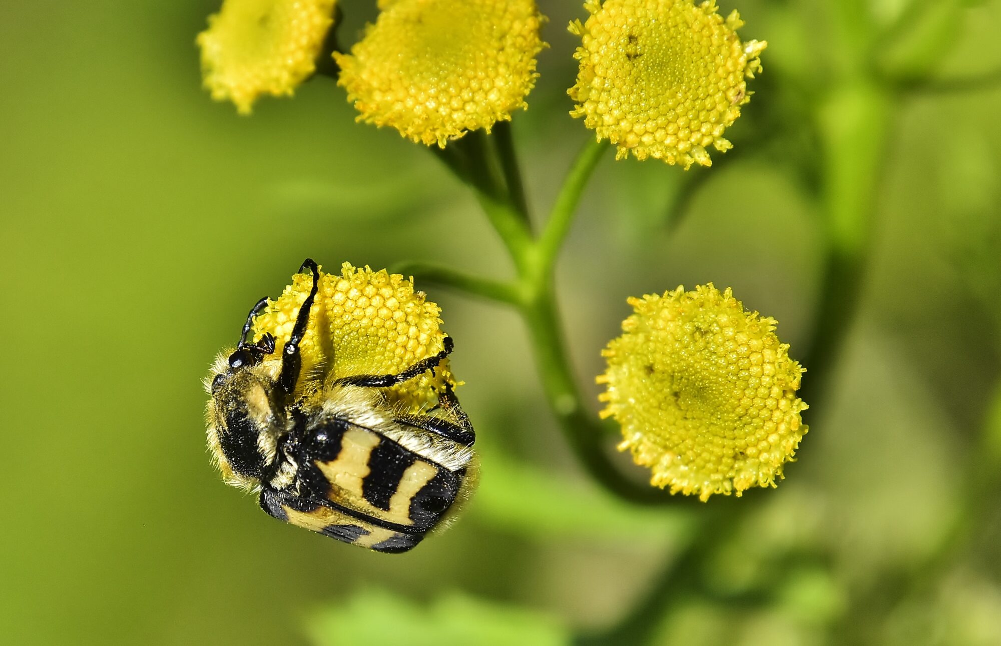 Valokuvaaja: Markku Pelkonen