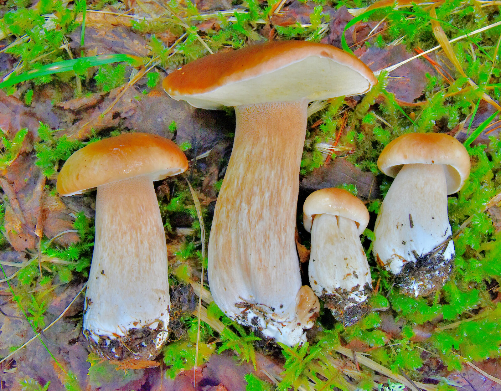 Valokuvaaja: Reijo Juurinen