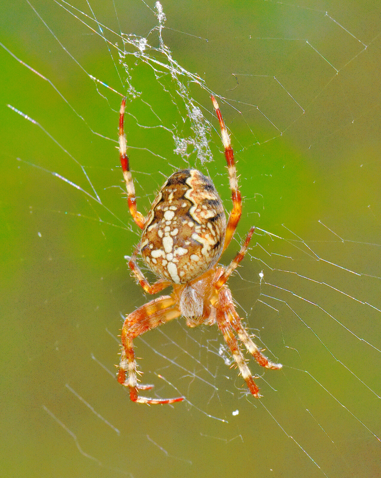Valokuvaaja: Reijo Juurinen