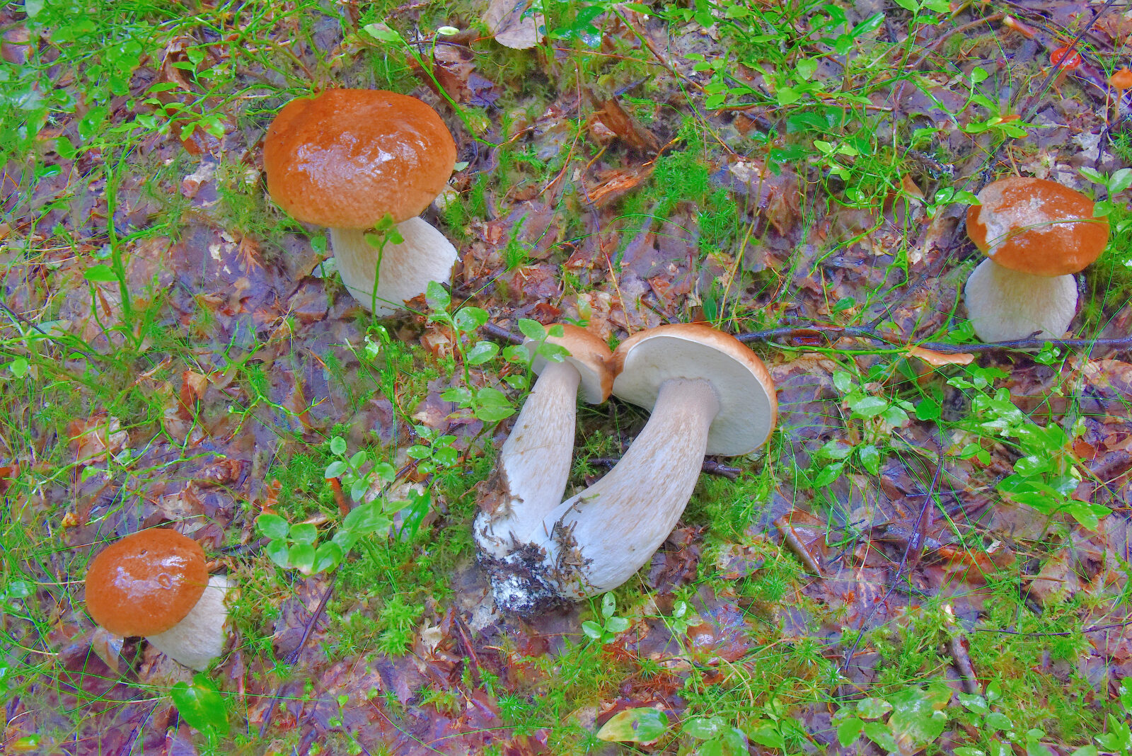 Valokuvaaja: Reijo Juurinen