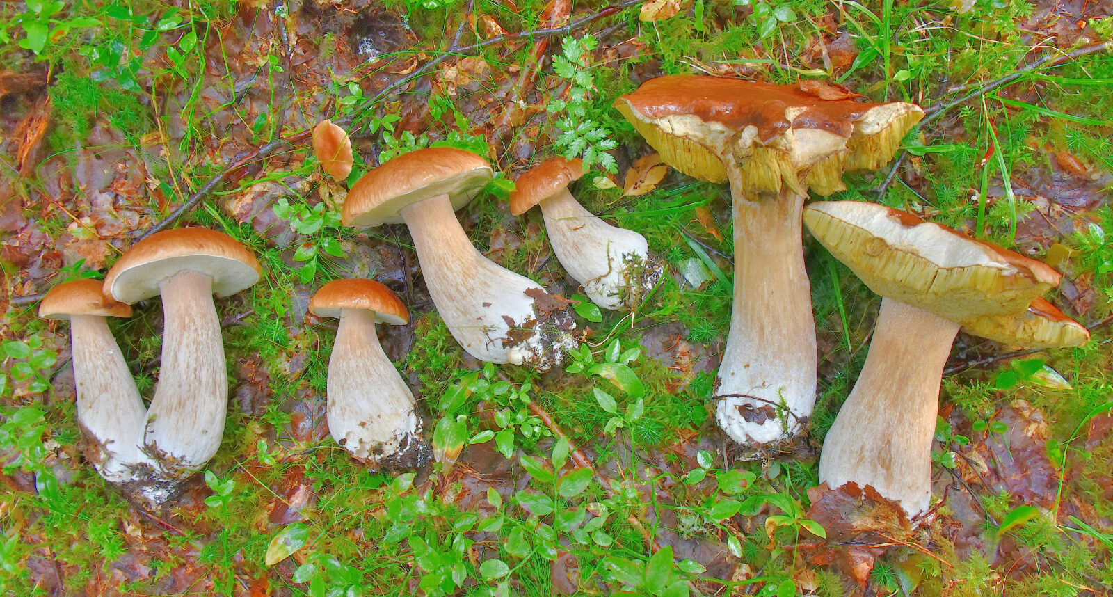 Valokuvaaja: Reijo Juurinen