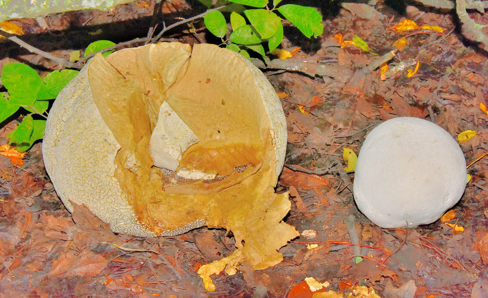 Valokuvaaja: Reijo Juurinen