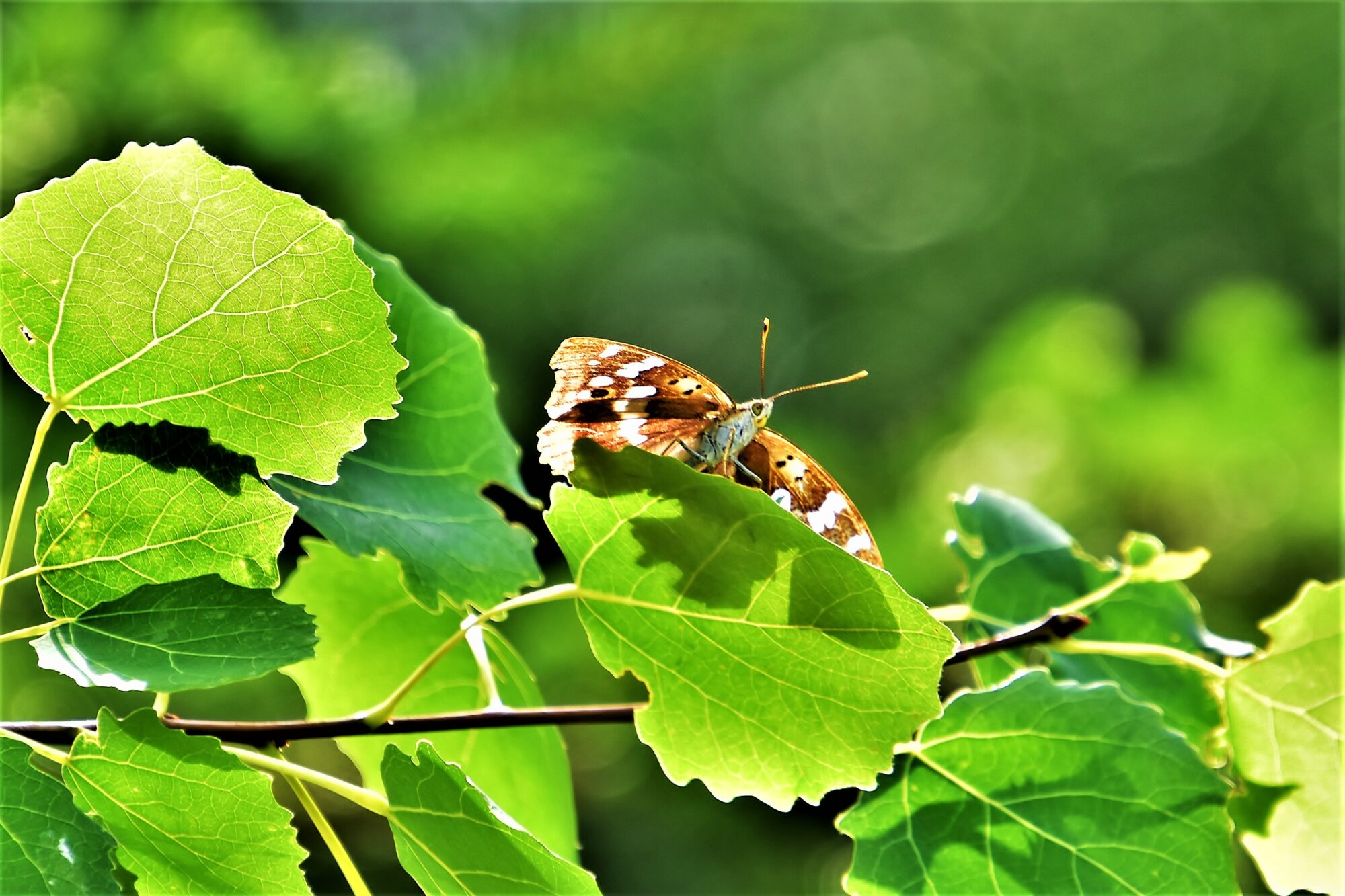 Valokuvaaja: Markku Pelkonen